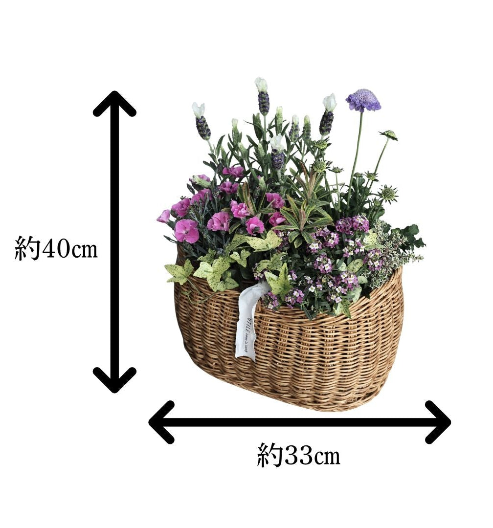 春風に揺れる寄せ植えバスケット