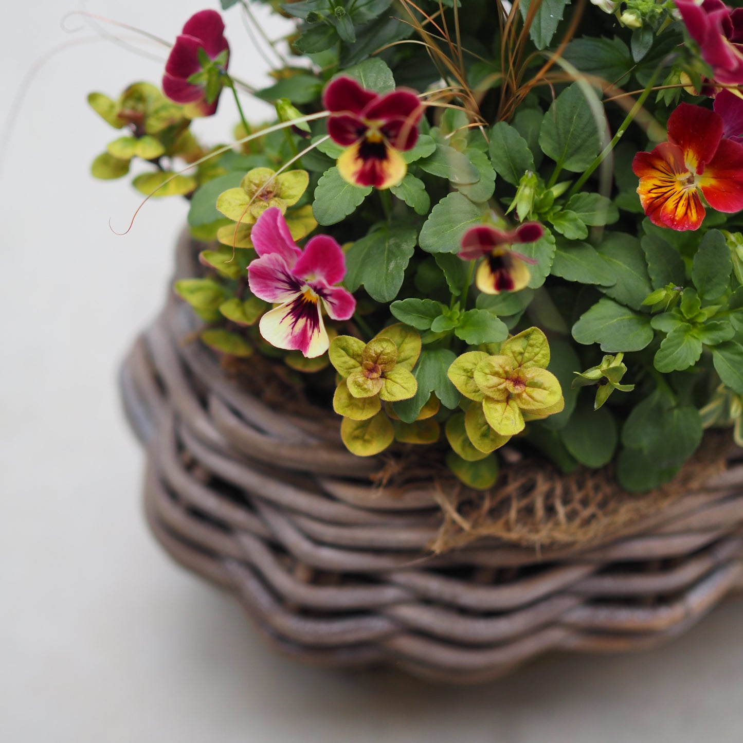 秋風にゆれる花かごI.5061