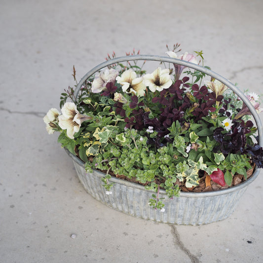 風合いを楽しむアンティーク寄せ植え
