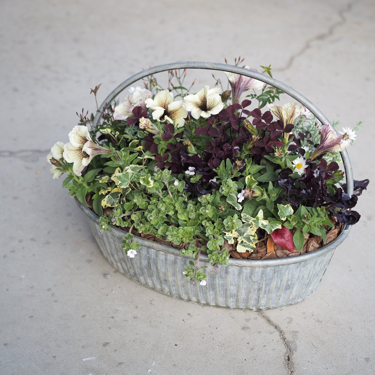 風合いを楽しむアンティーク寄せ植え