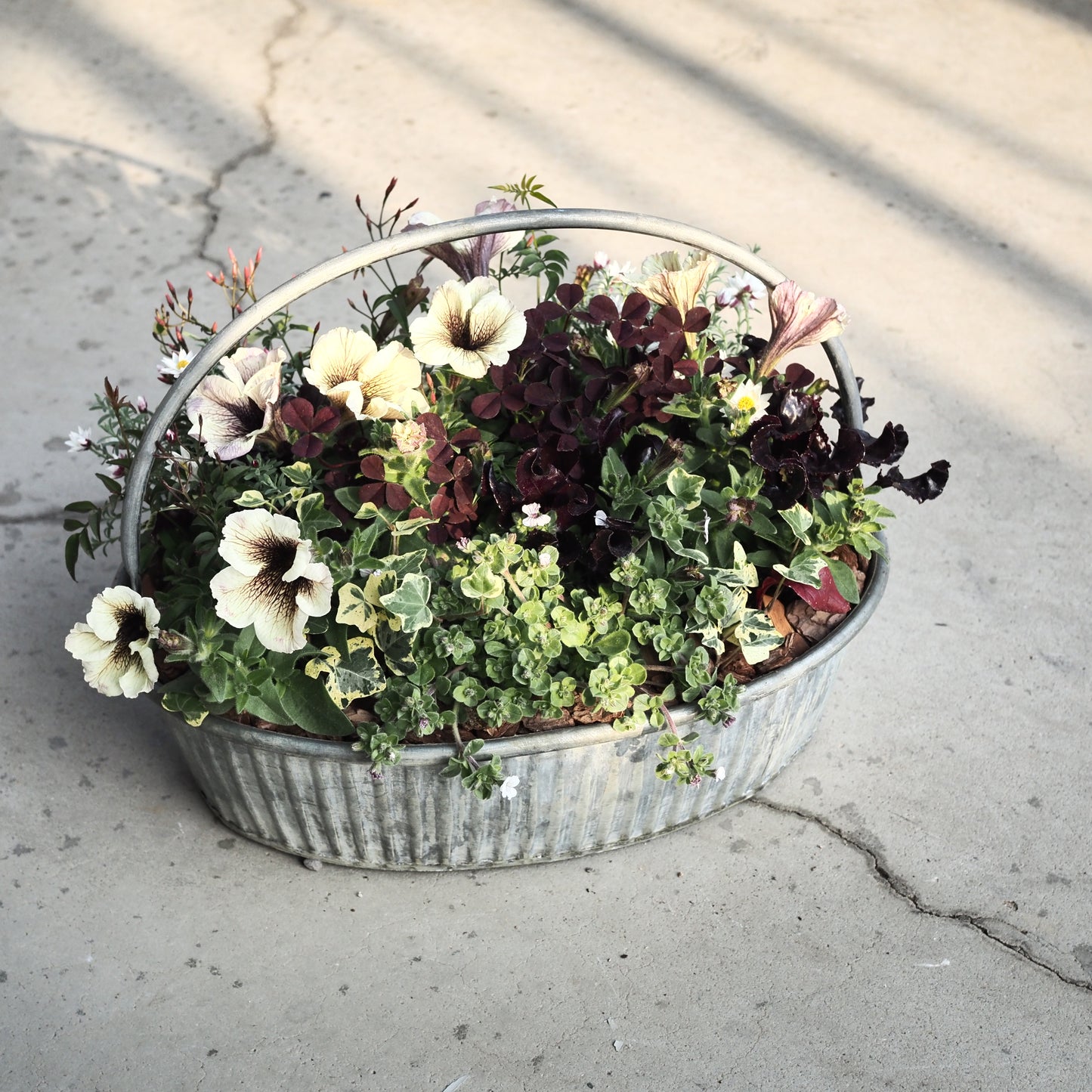 風合いを楽しむアンティーク寄せ植え