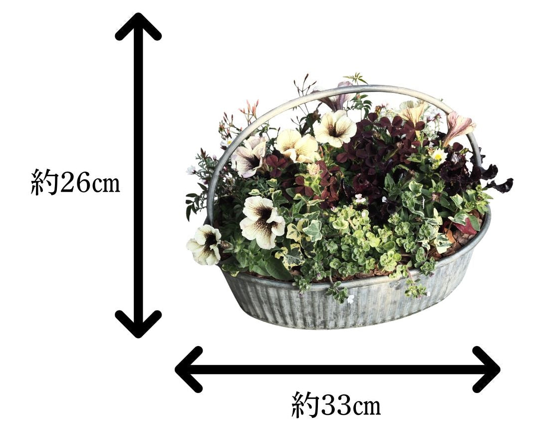 風合いを楽しむアンティーク寄せ植え