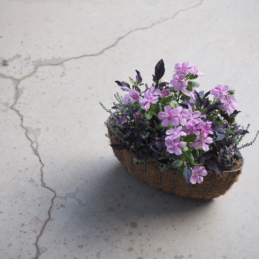 シックなパープルの寄せ植え