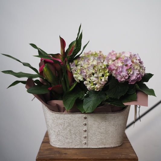 母の日の彩りデュオバスケット