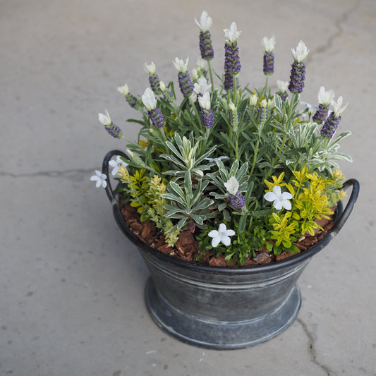 香り広がる母の日