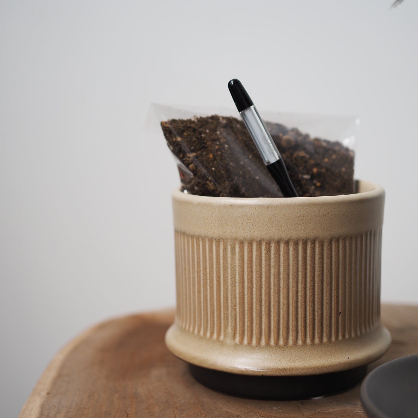 ダブルで楽しむ苔玉と鉢植えセットBE31266