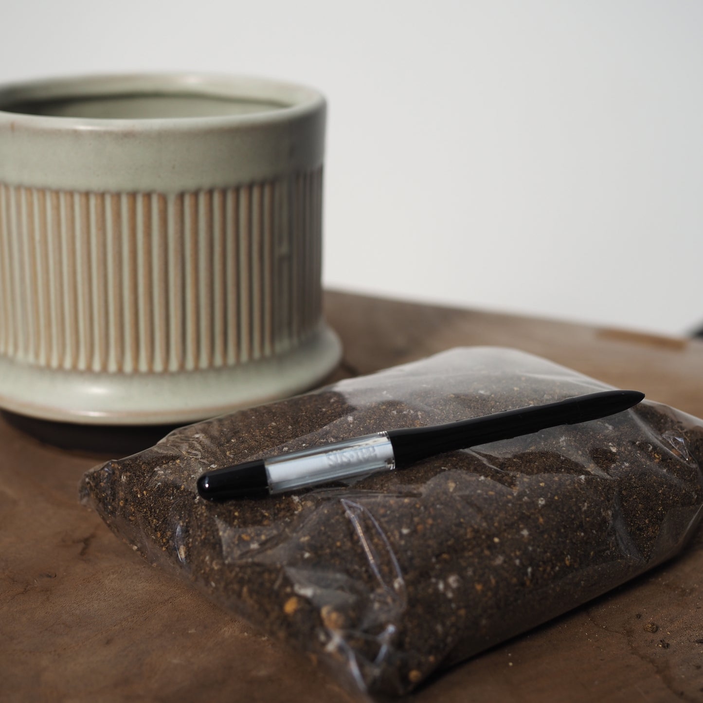 ダブルで楽しむ苔玉と鉢植えセットWH31267