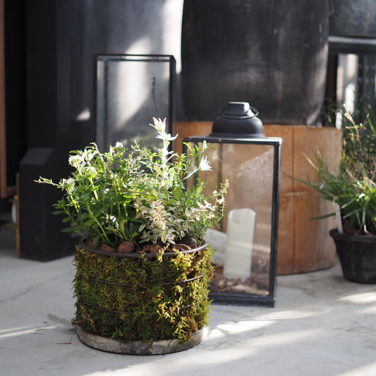 シャビーシックな寄せ植えk.5021