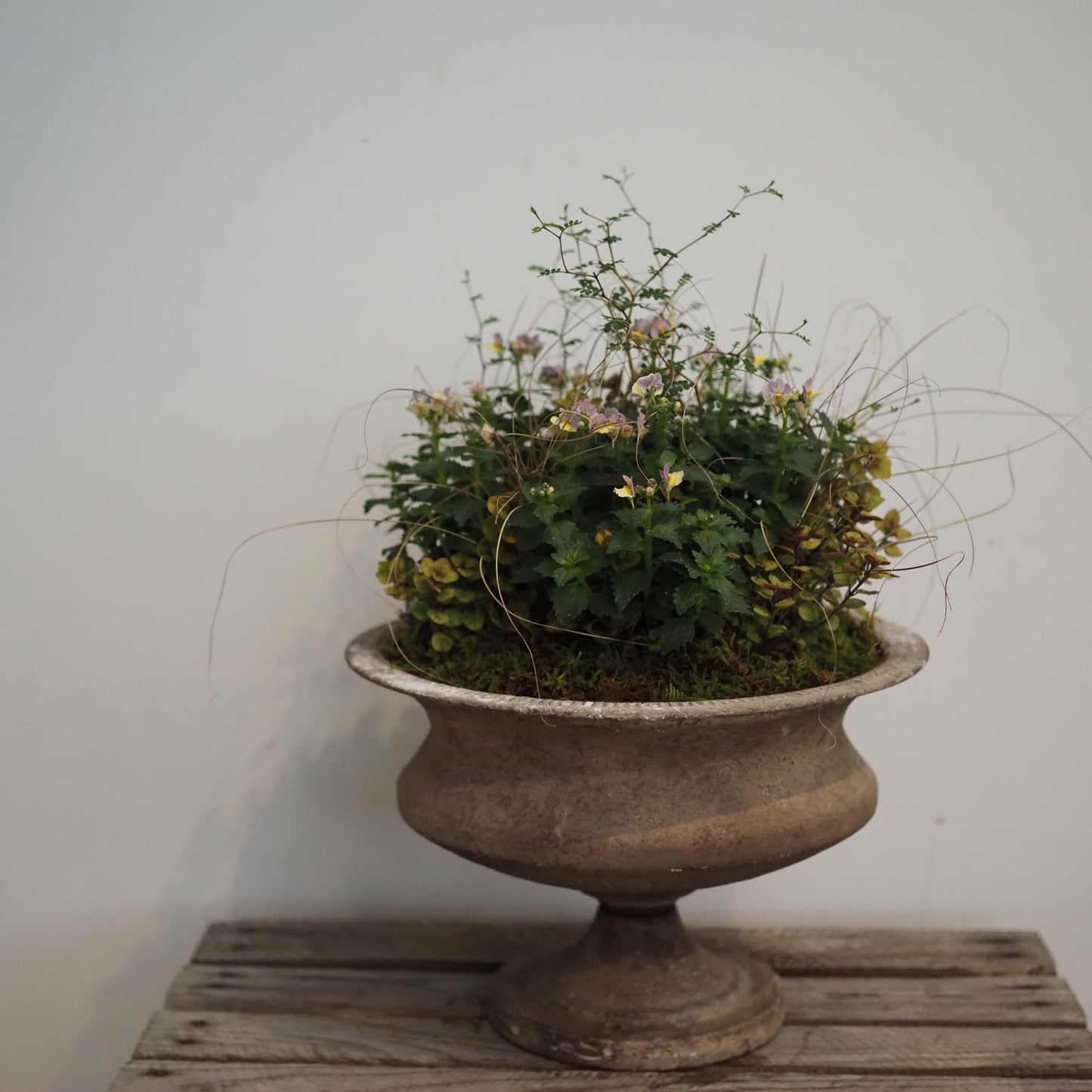 秋のアンティークカップI.5030