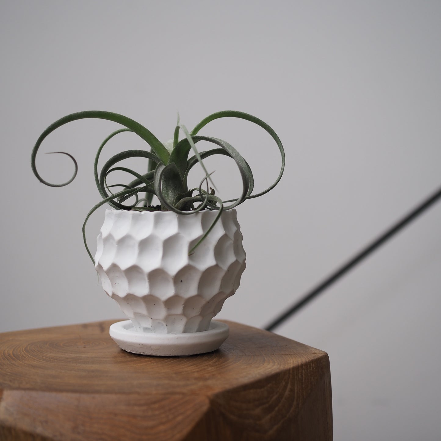 ヘンポットカーリーグリーンU,5083