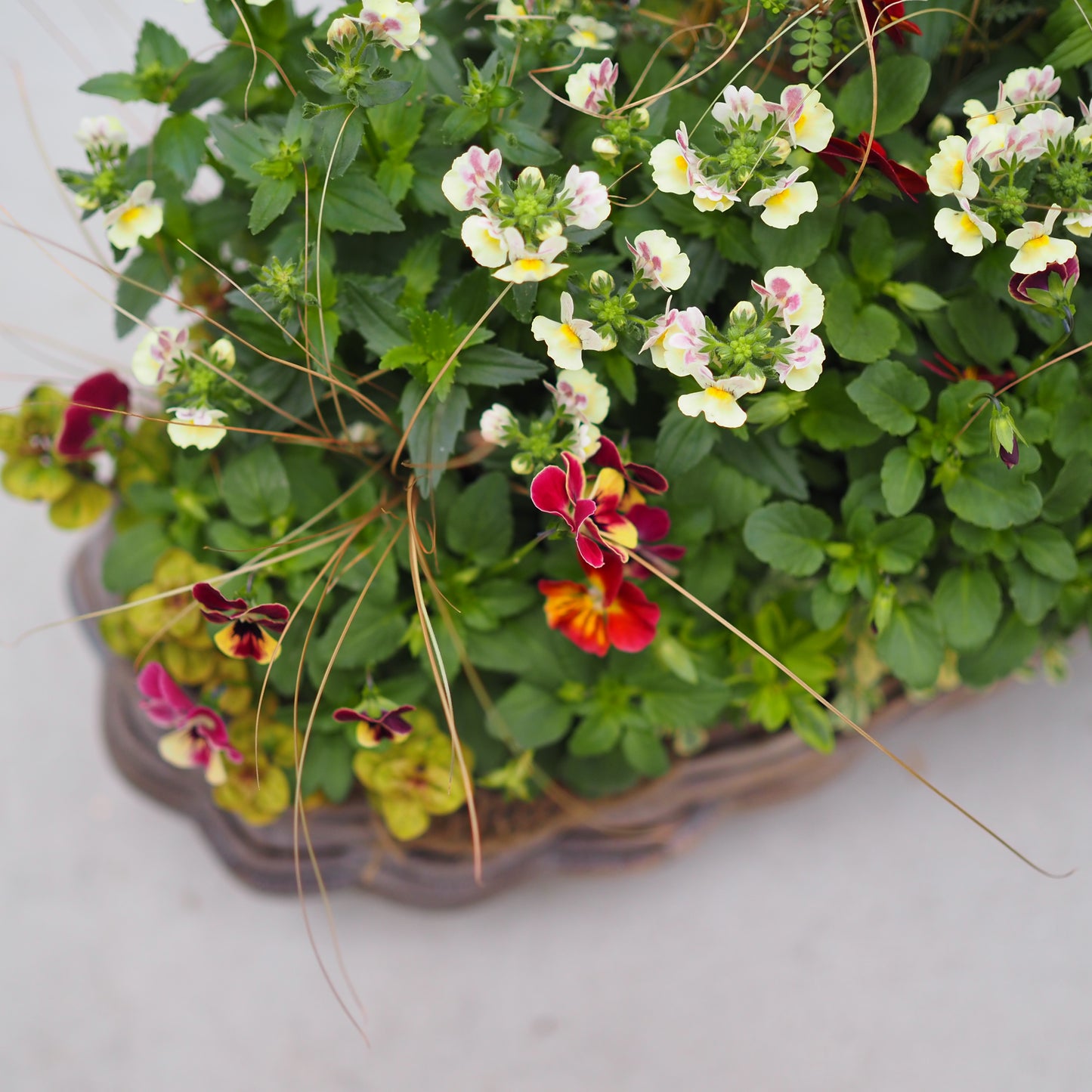 秋風にゆれる花かごI.5061