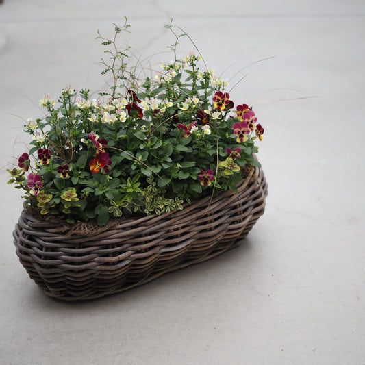 秋風にゆれる花かごI.5061