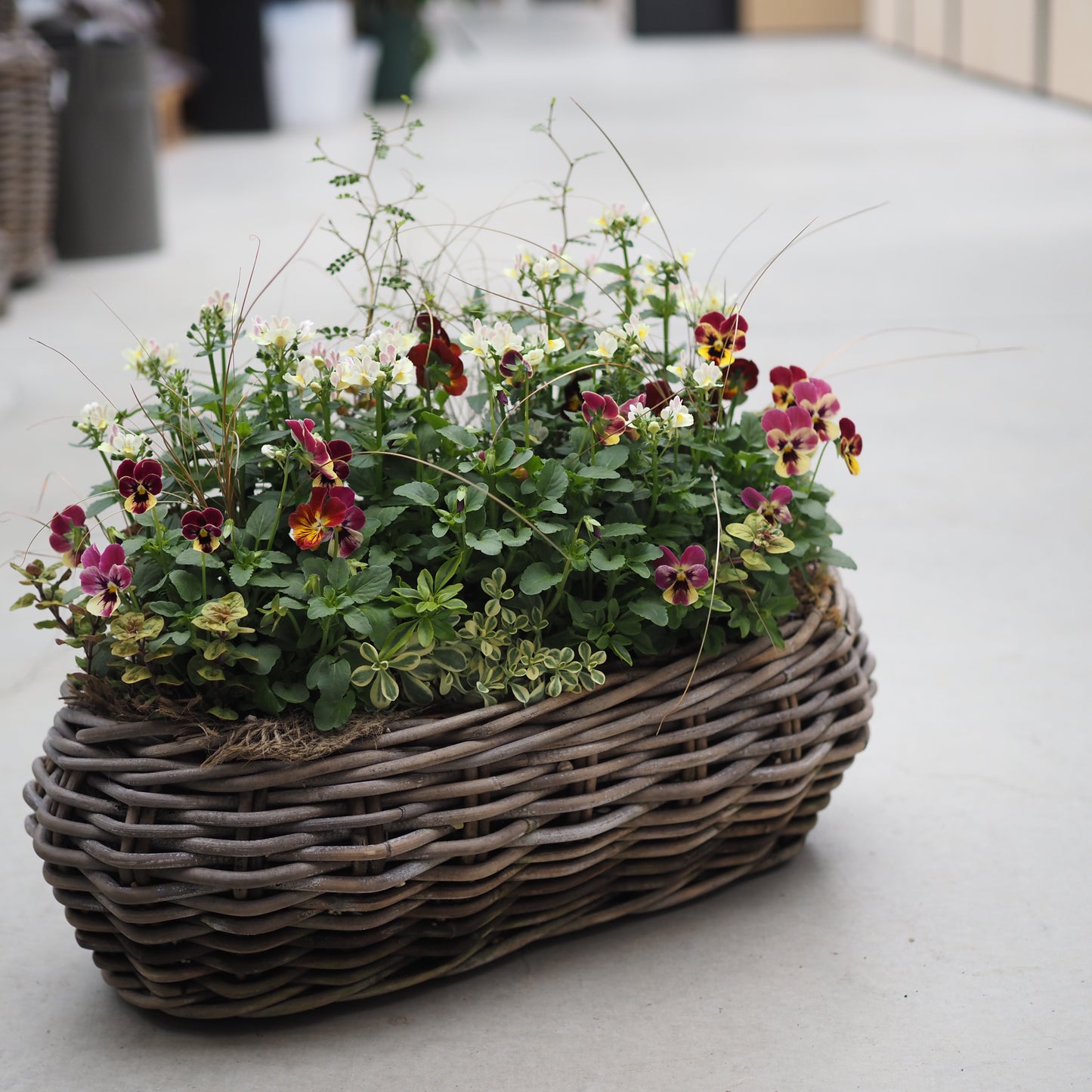 秋風にゆれる花かごI.5061