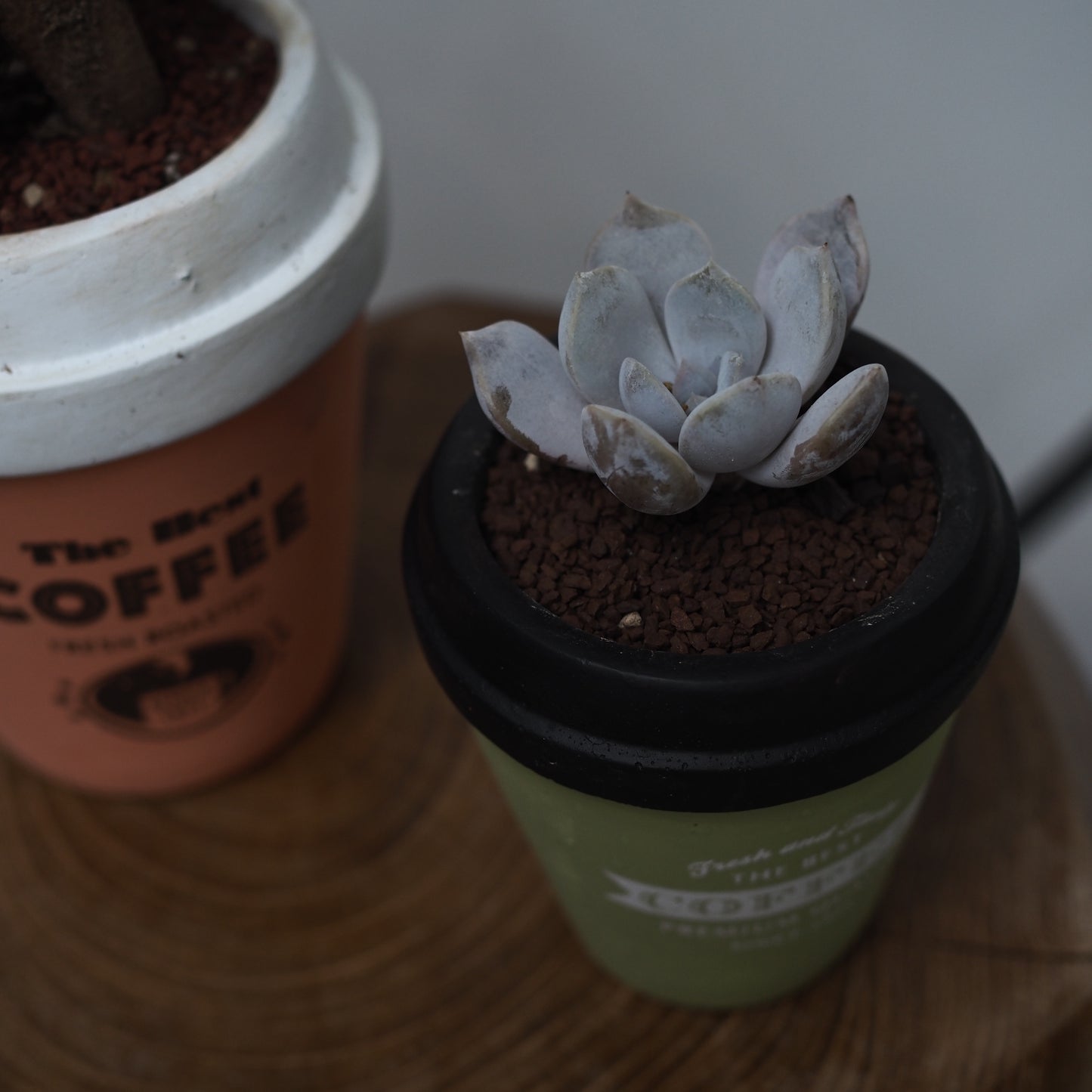 カフェ・ヴェルトセット