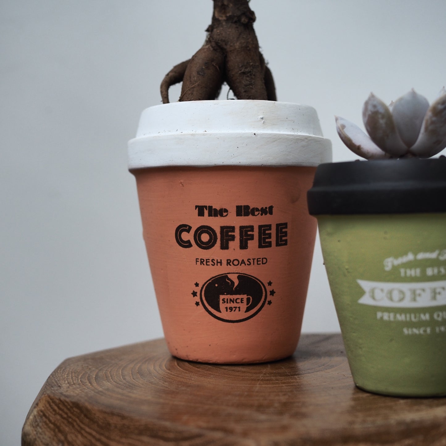 カフェ・ヴェルトセット